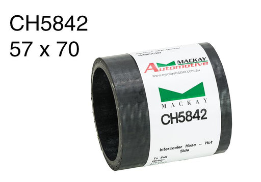 Turbocharger/Charge - CH5842