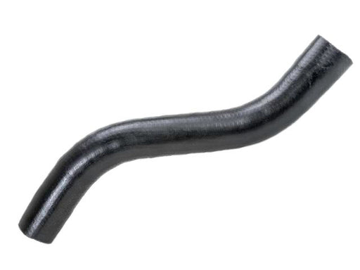 Radiator Lower - CH6149
