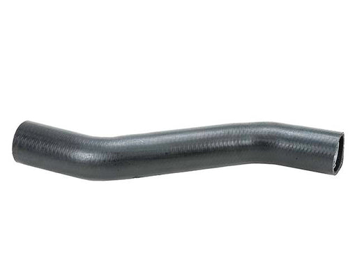 Radiator Lower - CH6150