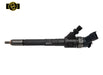 PEUGEOT/ CITROEN CR INJECTOR - DIN923GEN