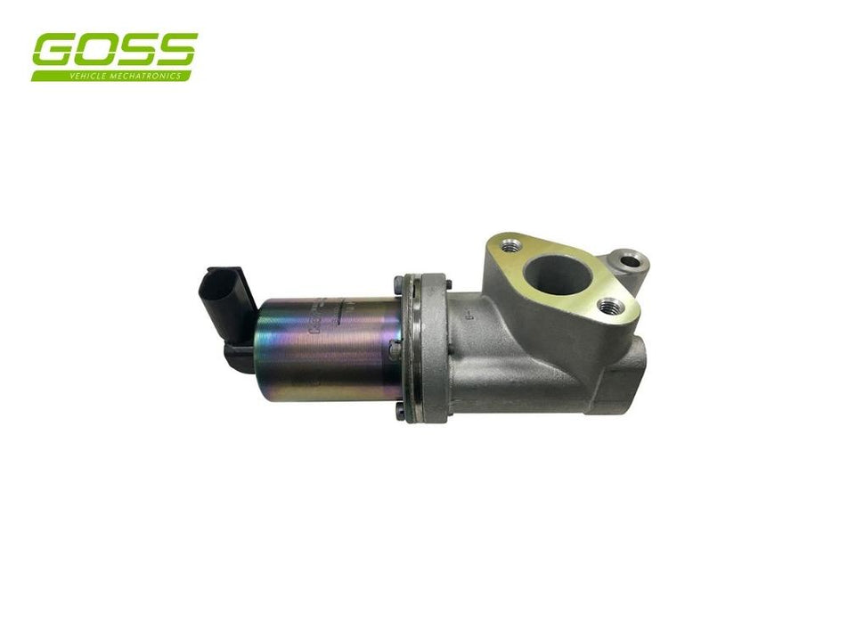 GOSS EGR VALVE HYUNDAI - EV115