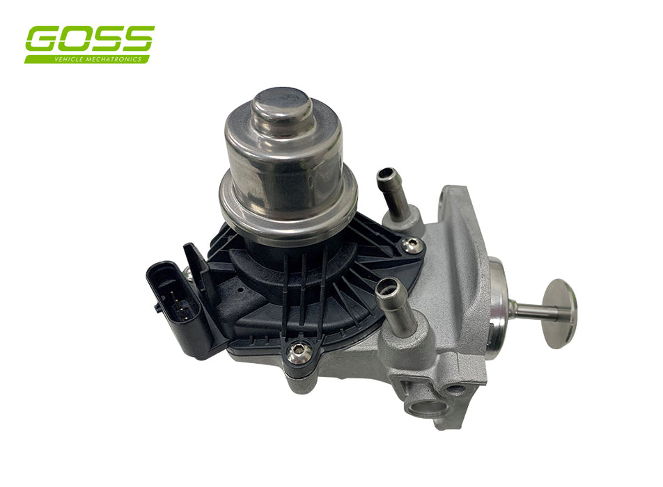 GOSS EGR VALVE BMW MINI - EV166