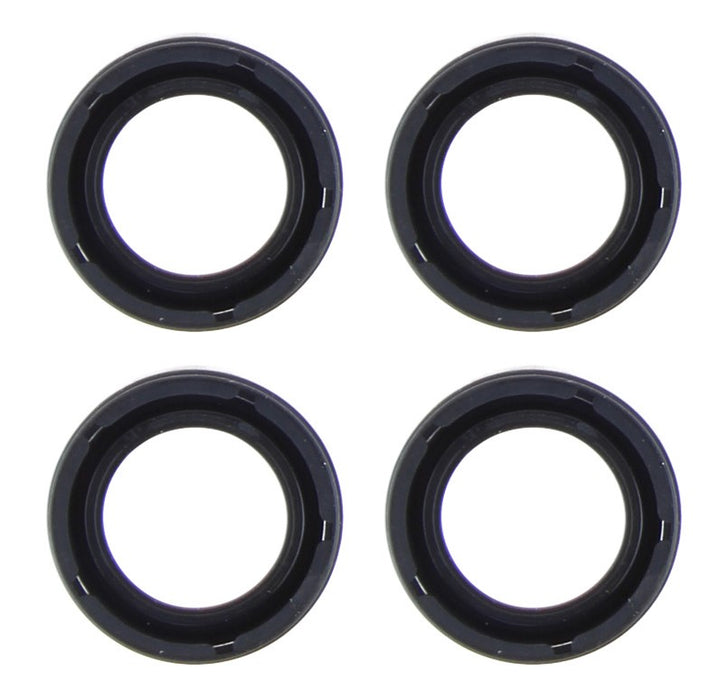 INJ SEAL HOLDEN - INS011-04