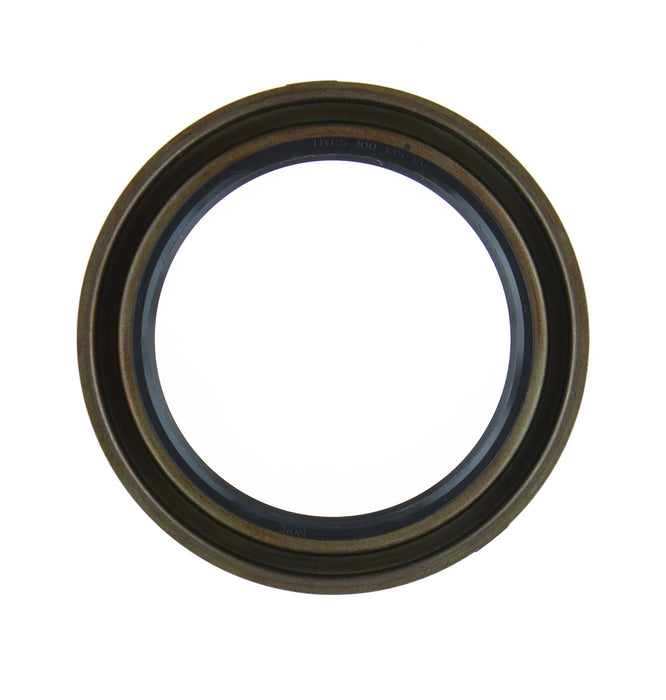 OSEAL 100*135*15 HTCL NOK - NJ232