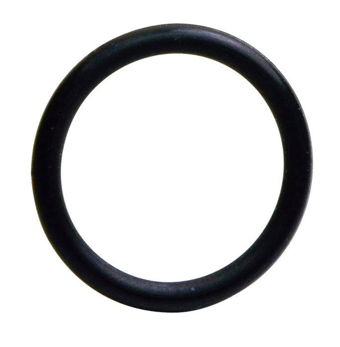 INJECTOR O-RING SEAL 12 - S5053-12