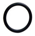 INJECTOR O-RING SEAL 12 - S5053-12