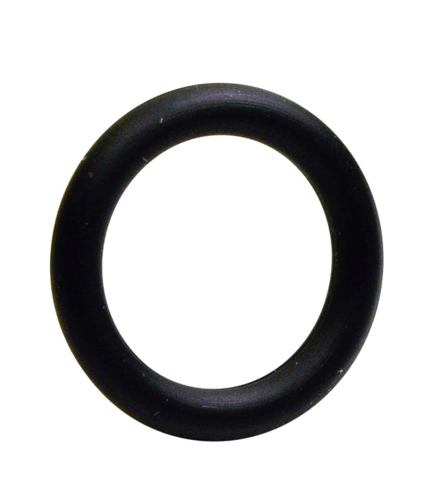 INJECTOR O-RING SEAL 12 - S5090-12