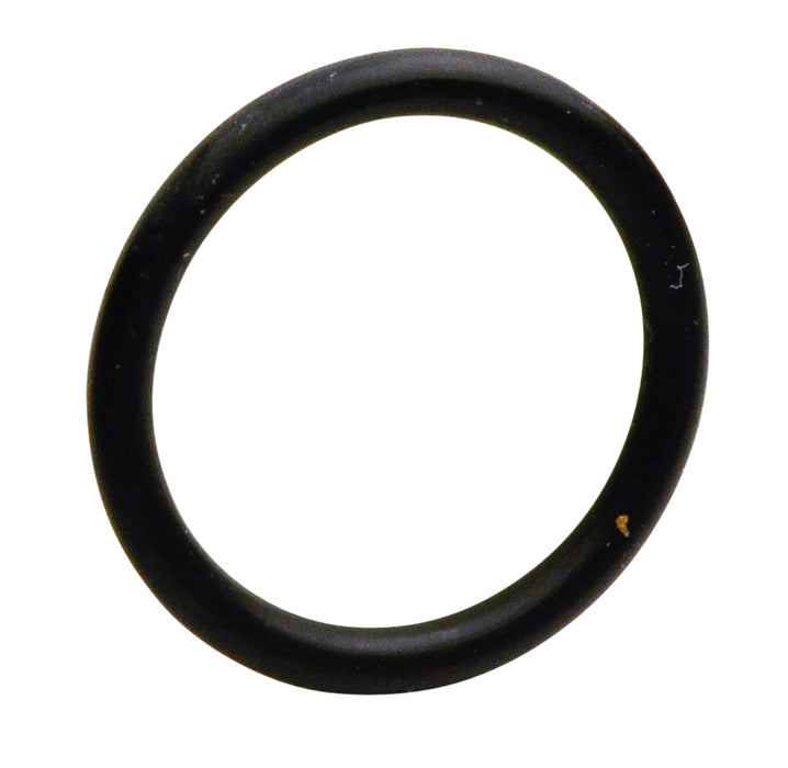 INJECTOR O-RING SEAL 12 - S5091-12