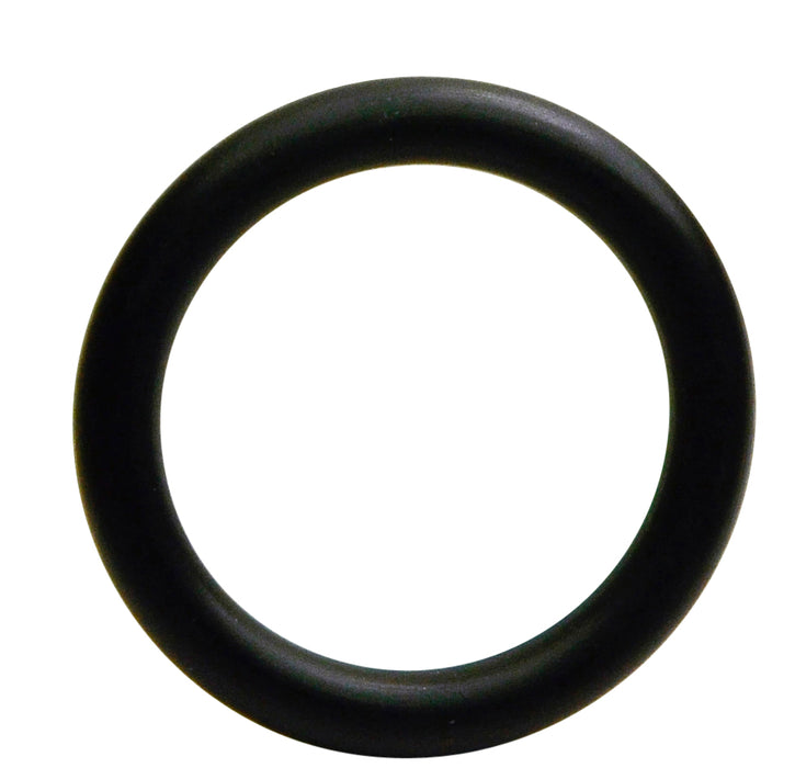 INJECTOR O-RING SEAL 12 - S5094-12