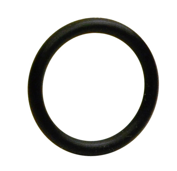 INJECTOR O-RING SEAL 12 - S5095-12