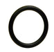 INJECTOR O-RING SEAL 12 - S5095-12