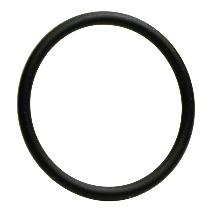 INJECTOR O-RING SEAL 12 - S5096-12