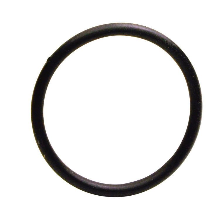 INJECTOR O-RING SEAL 12 - S5098-12