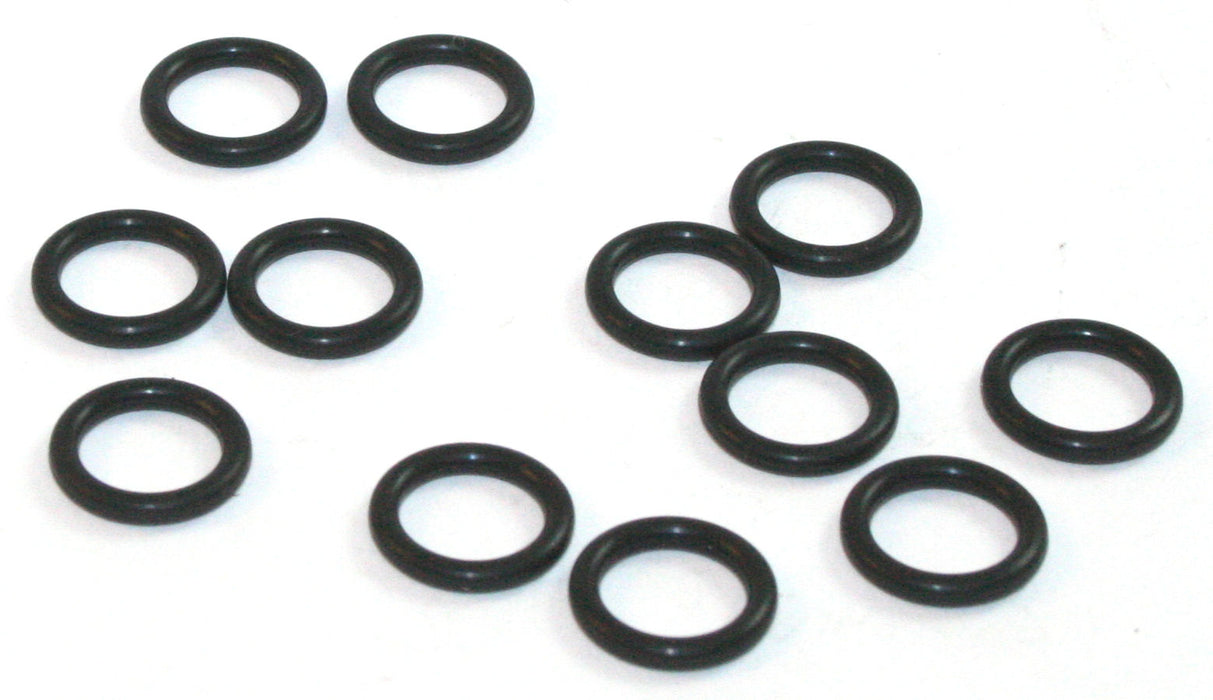 INJ O-RING NISS LOWER 12 - S5113-12