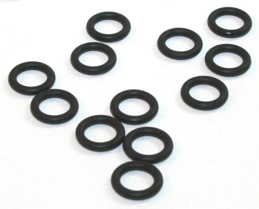 INJ O-RING QTY 12 - S5114-12