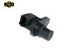 OEM CAM ANGLE SENSOR - SC428GEN