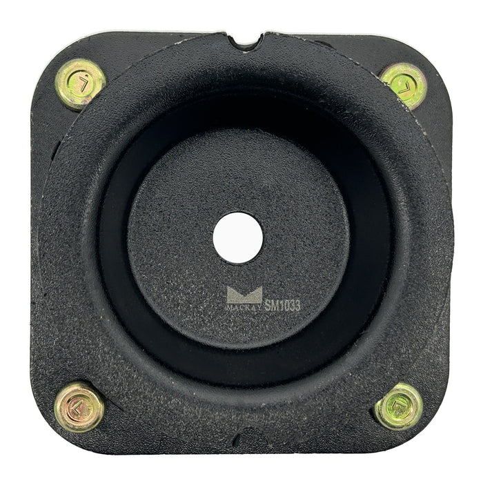 Shock/Strut - SM1033
