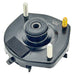 Shock/Strut - SM1053