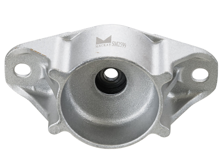 Shock/Strut - SM2599