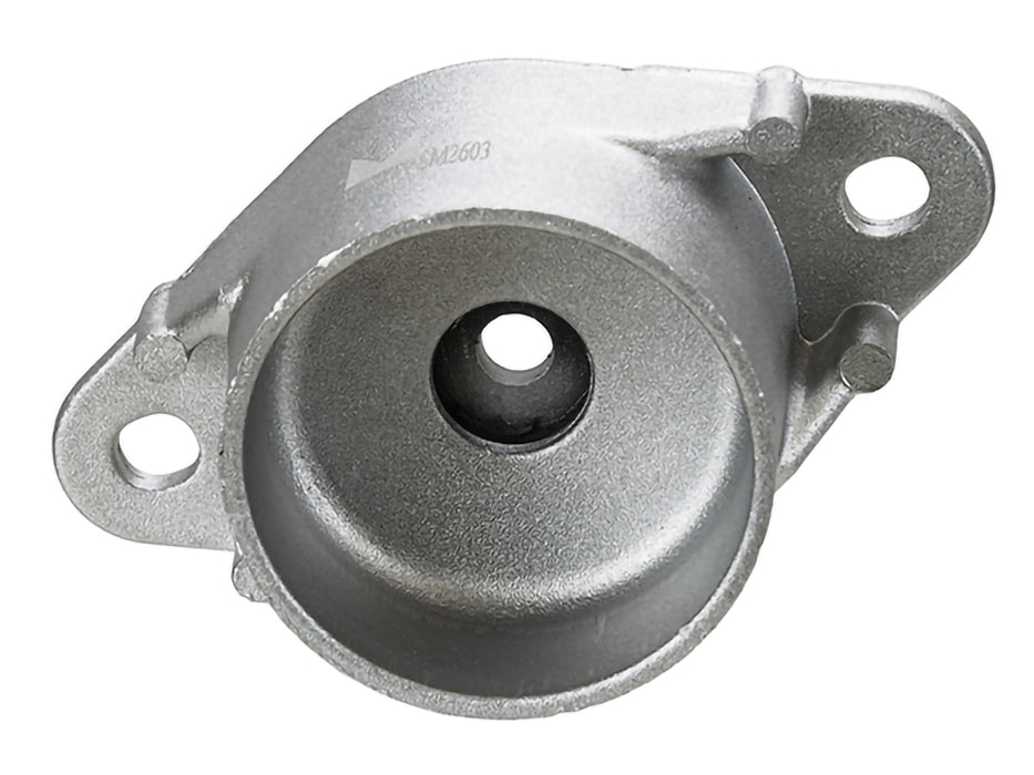 Shock/Strut - SM2603