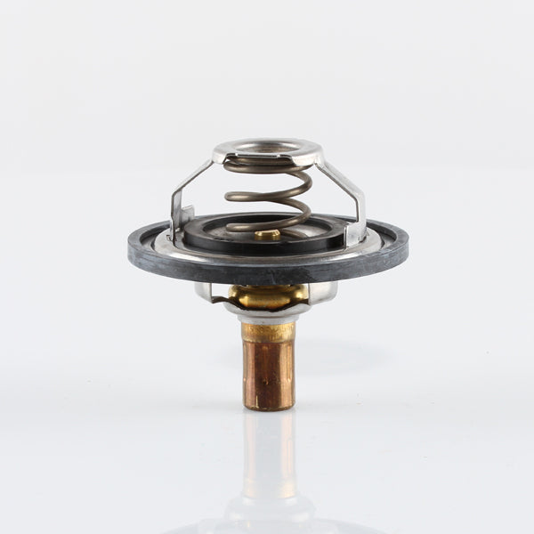 TT1309-176 - Thermostat