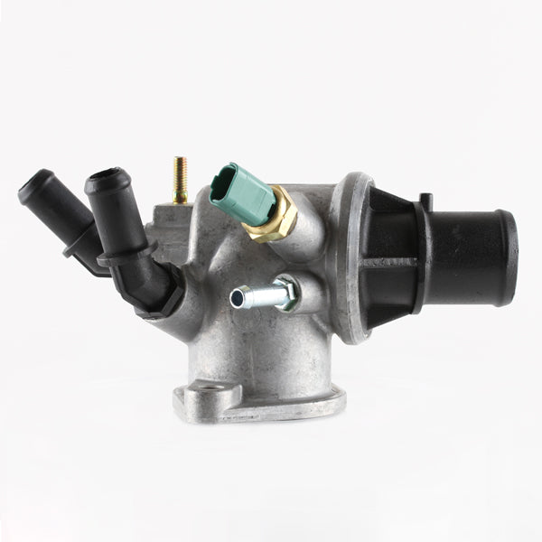 TT1669-190 - Thermostat