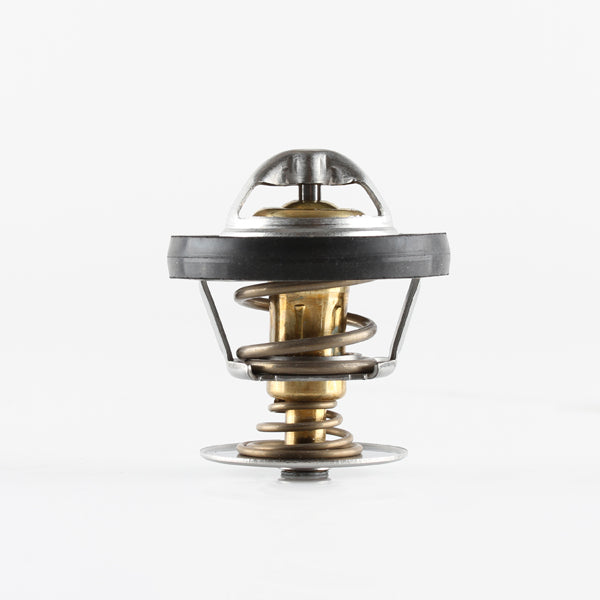 TT1685-190 - Thermostat