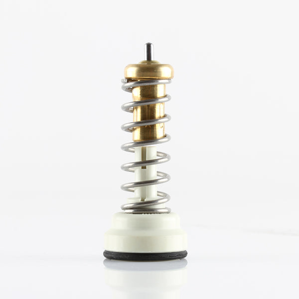 TT1686-203 - Thermostat