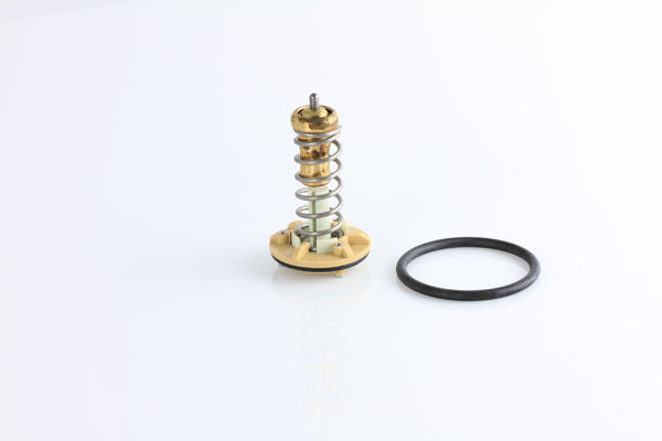 TT1689-176 - Thermostat