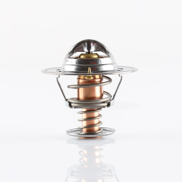 TT1694-176 - Thermostat