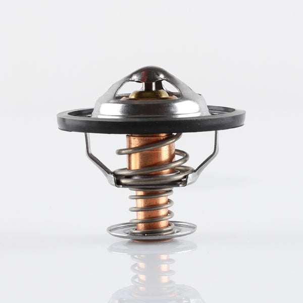 TT1728-180 - Thermostat