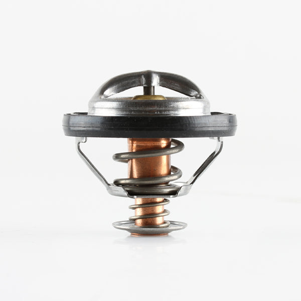 TT1731-194 - Thermostat