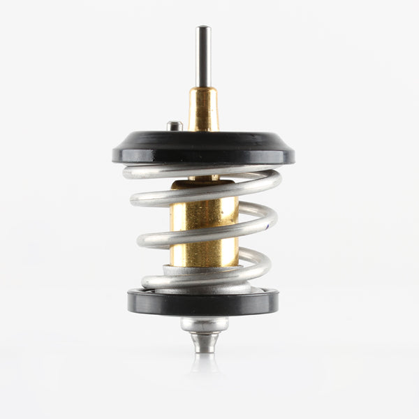 TT1743-203 - Thermostat