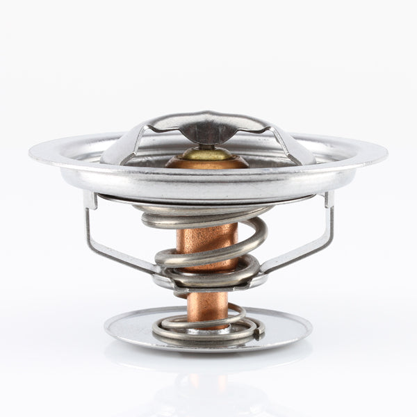 TT289-174P - Thermostat