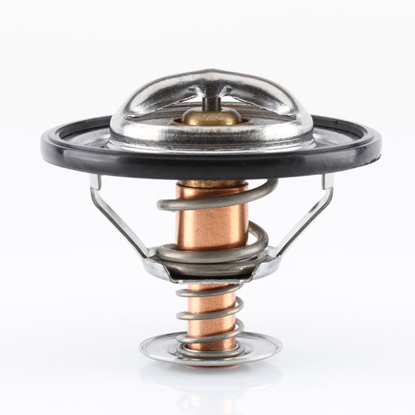 TT301-180 - Thermostat (High Flow)
