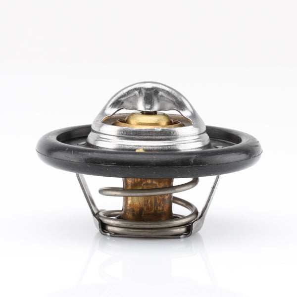 TT333-198 - Thermostat