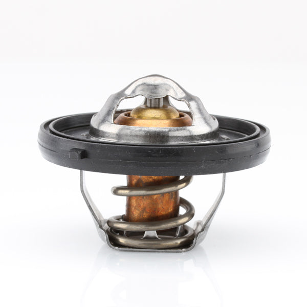 TT420-195 - Thermostat