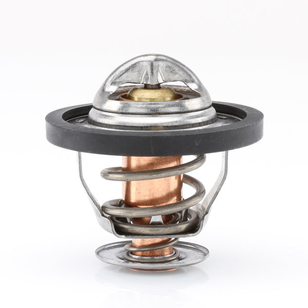 TT441-170 - Thermostat