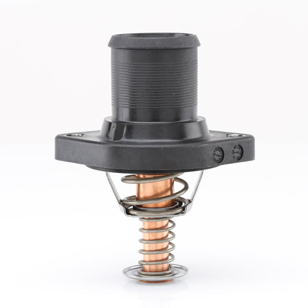 TT443-192P - Thermostat