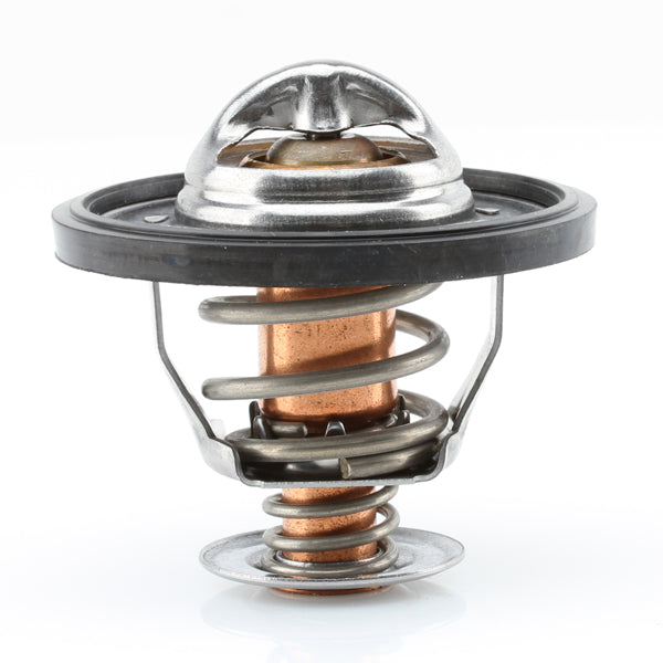 TT533-174 - Thermostat