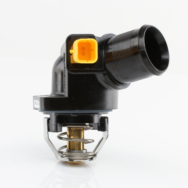 TT573-217 - Thermostat