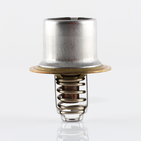 TT8700-160P - Thermostat