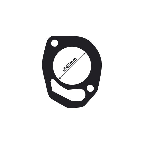 TTG55 - Thermostat Gasket