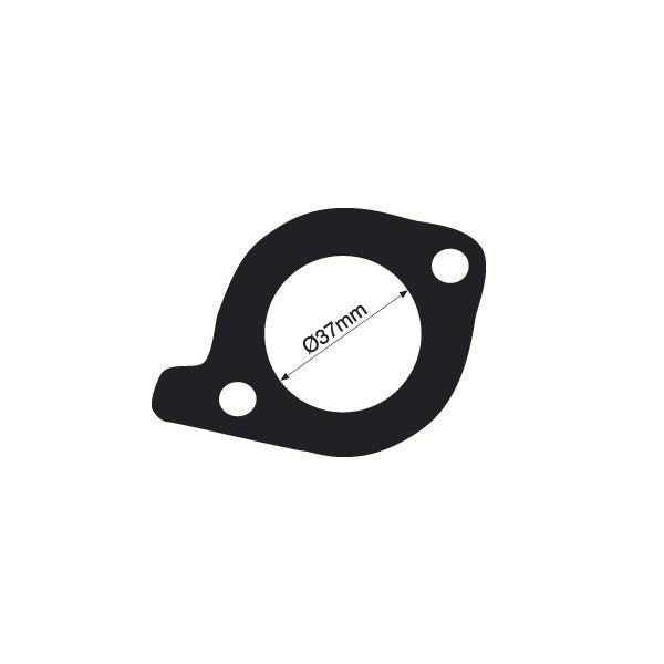 TTG56 - Thermostat Gasket