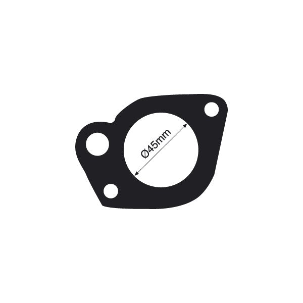 TTG6 - Thermostat Gasket