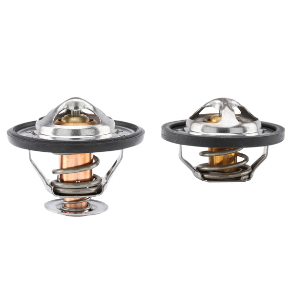 TTP1 - Thermostat Pair