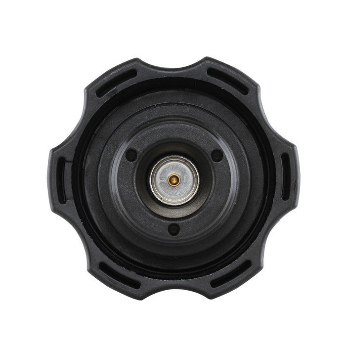 DM15100 - Radiator Cap