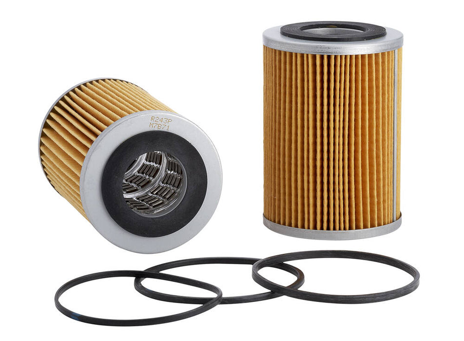 Ryco Oil Filter - R243P