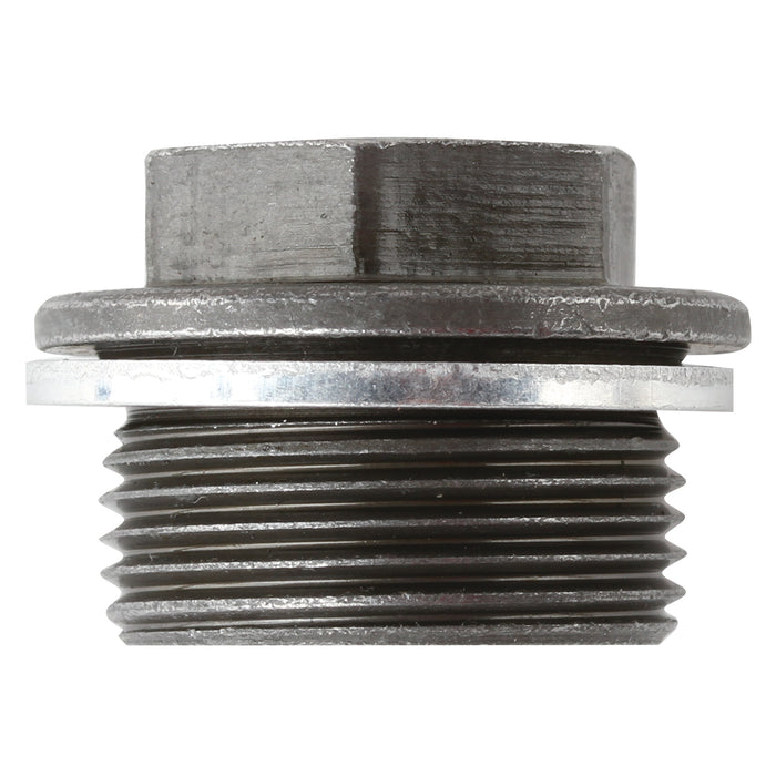 TDP038 - Sump Plug