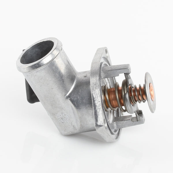 TT1174-198P - Thermostat